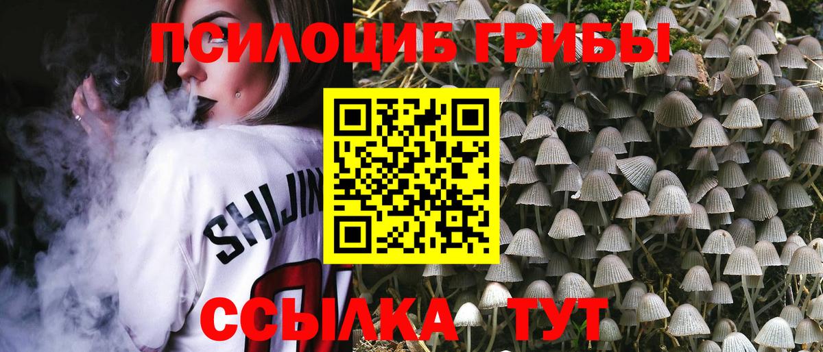 наркота  Вход с VPN  Екатеринбург  Псилоцибиновые грибы мухоморы 