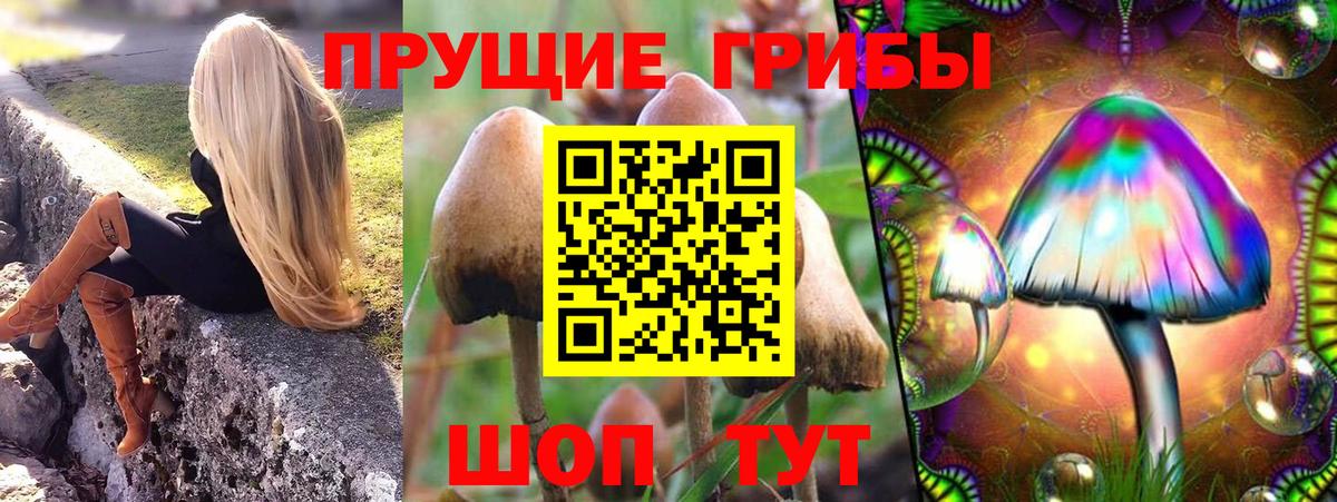 Псилоцибиновые грибы мухоморы Екатеринбург